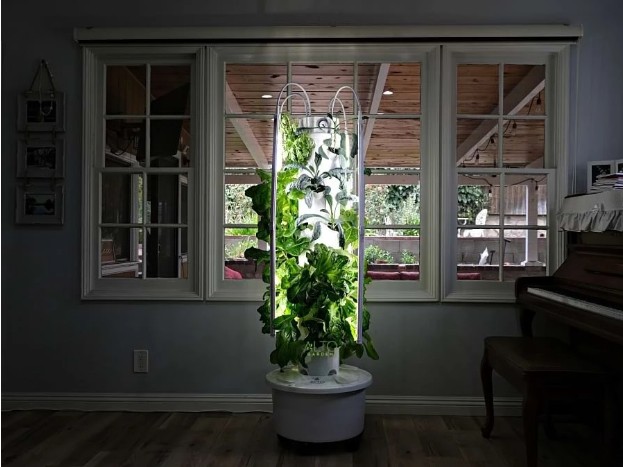 LED grow lights for seedlings